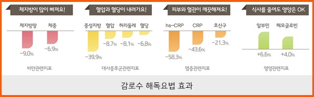 해독 디톡스로 건강하게 체중감량하세요!!