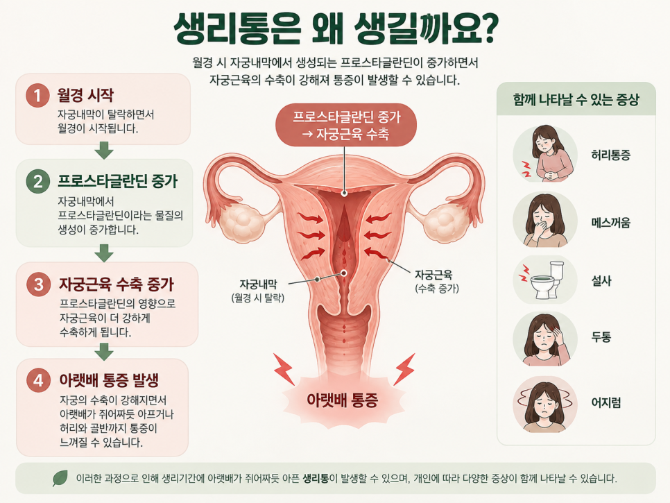 중계동 수험생 생리통, 시험기간마다 더 힘들다면 무엇을 확인해야 할까요? 관련 이미지 2