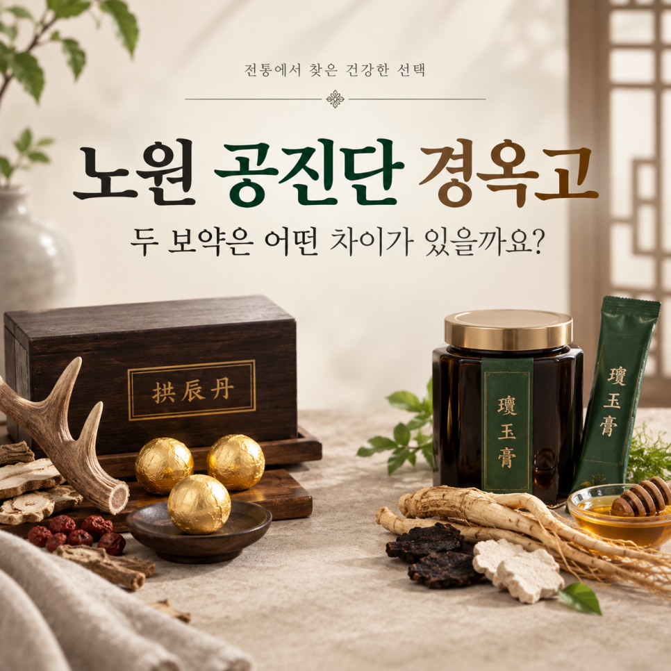 노원 공진단 경옥고, 두 보약은 어떤 차이가 있을까요? 관련 이미지 1