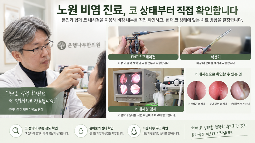 노원 환절기 비염, 아침마다 재채기와 콧물이 심해지는 이유는? 관련 이미지 3